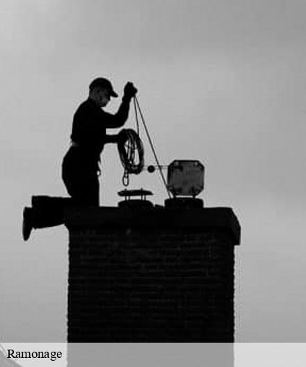 Ramonage 51 Marne   Artisan Klatt père et fils