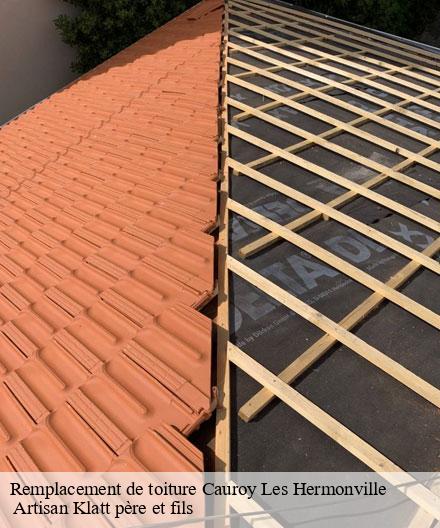 Remplacement de toiture  cauroy-les-hermonville-51220  Artisan Klatt père et fils