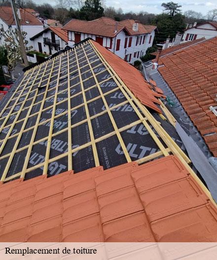 Remplacement de toiture  vernancourt-51330  Artisan Klatt père et fils