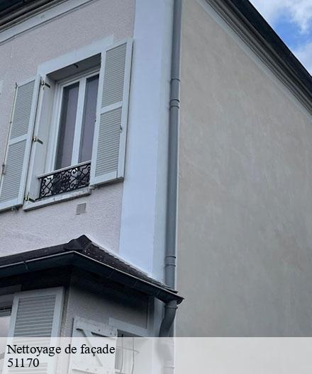 Nettoyage de façade  bouleuse-51170  Artisan Klatt père et fils