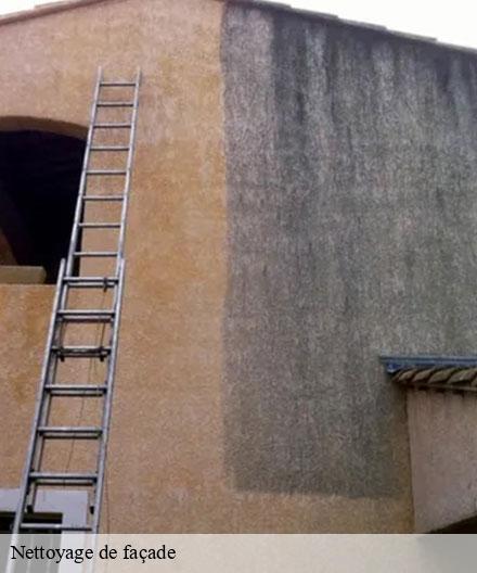 Nettoyage de façade  la-chapelle-felcourt-51800  Artisan Klatt père et fils