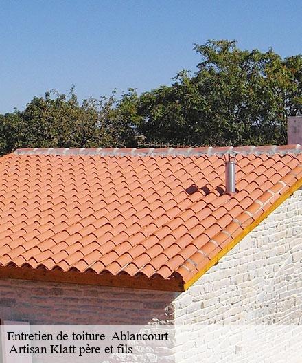 Entretien de toiture   ablancourt-51240  Artisan Klatt père et fils