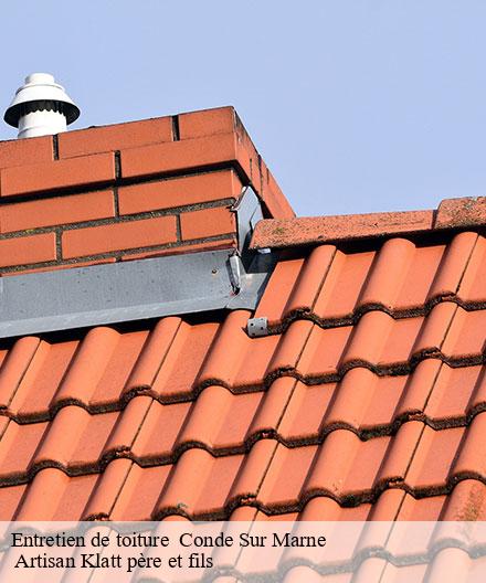 Entretien de toiture   conde-sur-marne-51150  Artisan Klatt père et fils