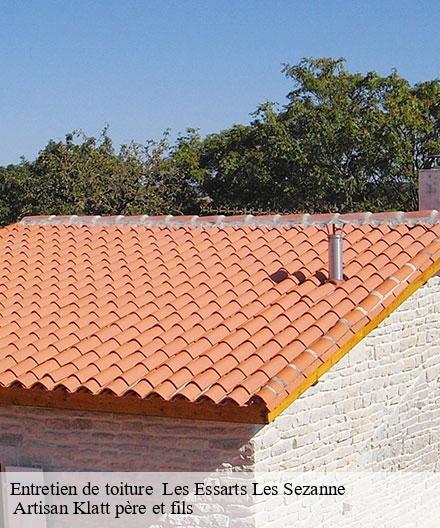 Entretien de toiture   les-essarts-les-sezanne-51120  Artisan Klatt père et fils