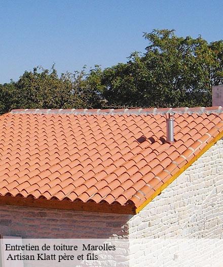 Entretien de toiture   marolles-51300  Artisan Klatt père et fils