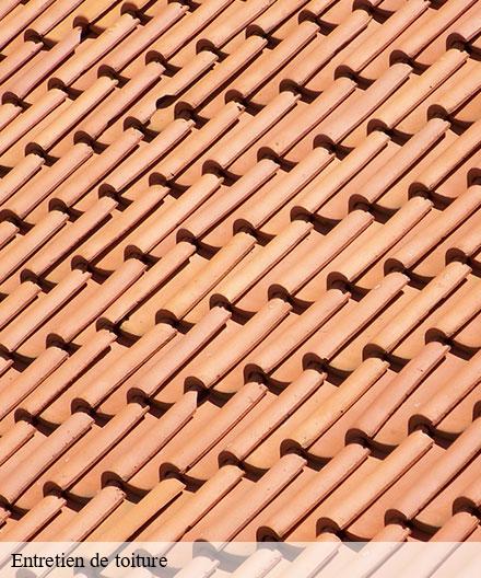 Entretien de toiture   les-petites-loges-51400  Artisan Klatt père et fils