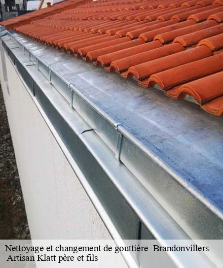 Nettoyage et changement de gouttière   brandonvillers-51290  Artisan Klatt père et fils