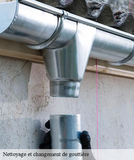 Nettoyage et changement de gouttière   brandonvillers-51290  Artisan Klatt père et fils