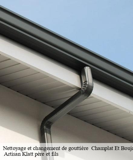 Nettoyage et changement de gouttière   champlat-et-boujacourt-51480  Artisan Klatt père et fils