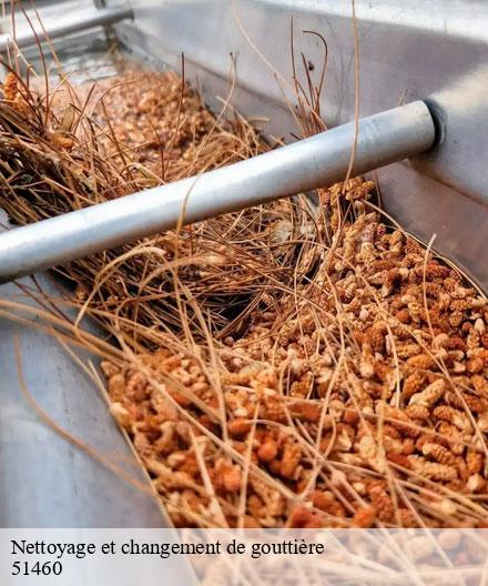 Nettoyage et changement de gouttière   herpont-51460  Artisan Klatt père et fils