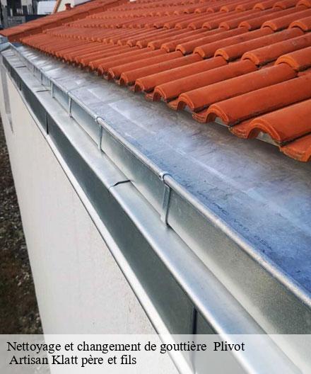 Nettoyage et changement de gouttière   plivot-51150  Artisan Klatt père et fils