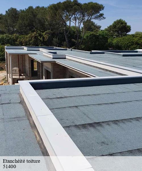 Etanchéité toiture  livry-louvercy-51400 les toitures bottier