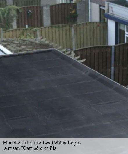 Etanchéité toiture  les-petites-loges-51400  Artisan Klatt père et fils