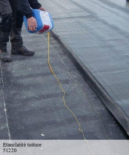 Etanchéité toiture  villers-franqueux-51220  Artisan Klatt père et fils