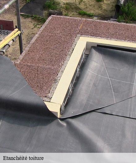 Etanchéité toiture  villers-franqueux-51220  Artisan Klatt père et fils