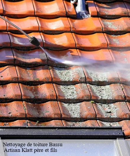 Nettoyage de toiture  bassu-51300  Artisan Klatt père et fils