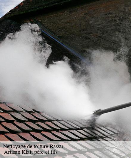 Nettoyage de toiture  bassu-51300  Artisan Klatt père et fils