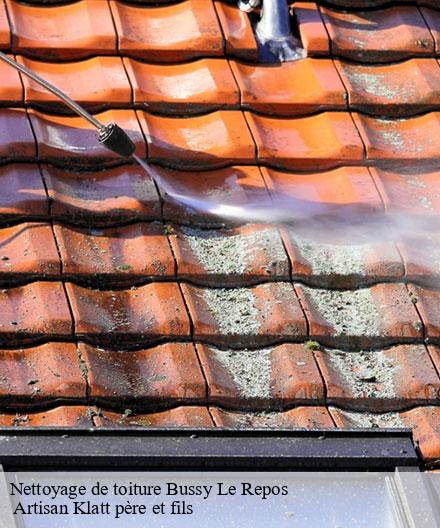 Nettoyage de toiture  bussy-le-repos-51330  Artisan Klatt père et fils