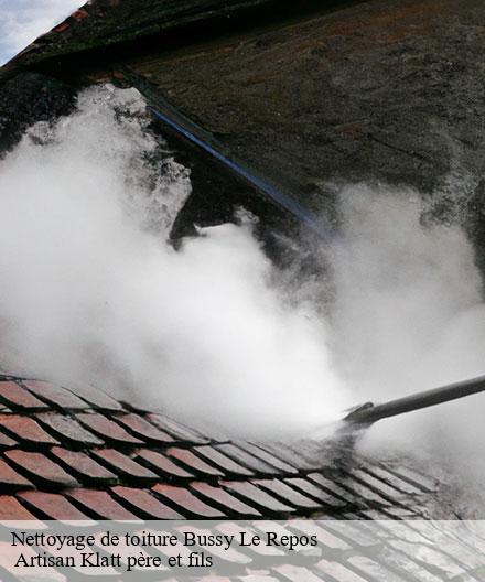 Nettoyage de toiture  bussy-le-repos-51330  Artisan Klatt père et fils