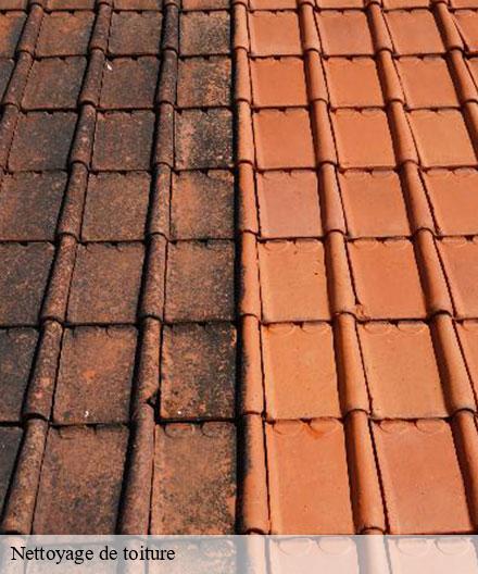 Nettoyage de toiture  chichey-51120  Artisan Klatt père et fils