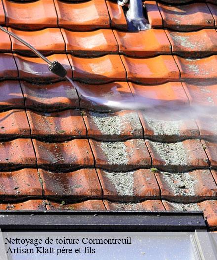 Nettoyage de toiture  cormontreuil-51350  Artisan Klatt père et fils