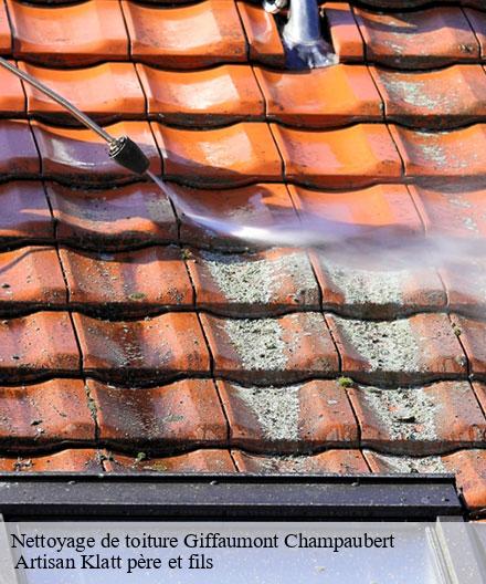 Nettoyage de toiture  giffaumont-champaubert-51290  Artisan Klatt père et fils