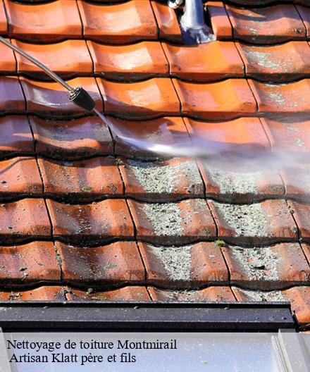 Nettoyage de toiture  montmirail-51210  Artisan Klatt père et fils