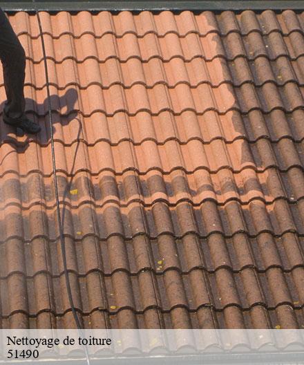 Nettoyage de toiture  pontfaverger-moronvilliers-51490  Artisan Klatt père et fils