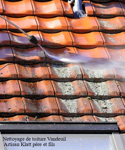 Nettoyage de toiture  vandeuil-51140  Artisan Klatt père et fils