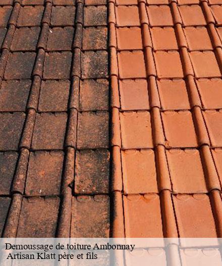 Demoussage de toiture  ambonnay-51150  Artisan Klatt père et fils