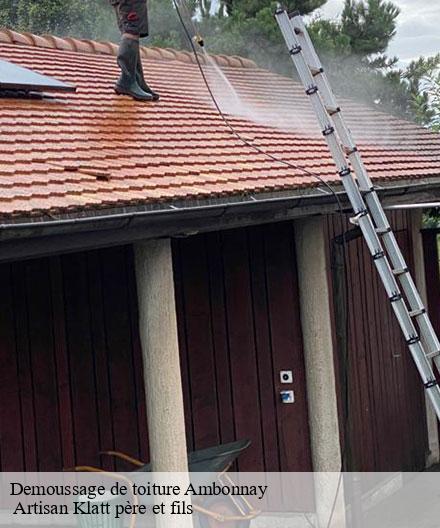Demoussage de toiture  ambonnay-51150  Artisan Klatt père et fils