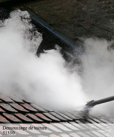 Demoussage de toiture  dampierre-le-chateau-51330  Artisan Klatt père et fils