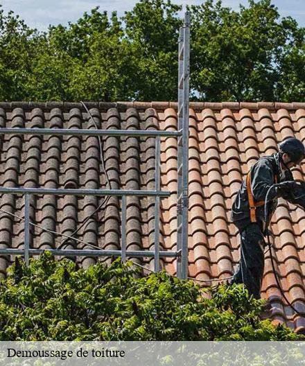 Demoussage de toiture  dampierre-le-chateau-51330  Artisan Klatt père et fils