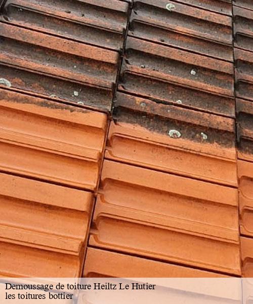 Demoussage de toiture  heiltz-le-hutier-51300 les toitures bottier