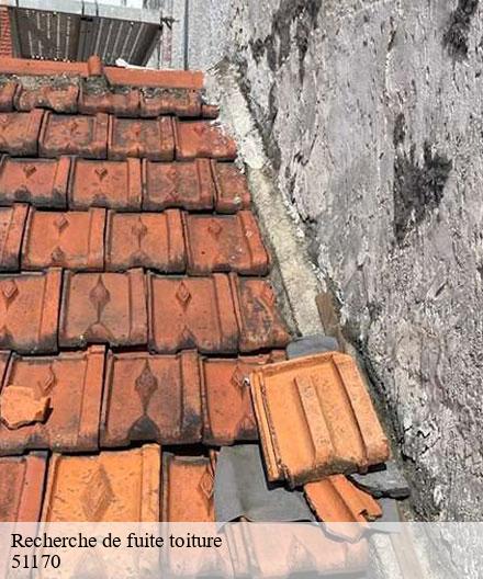 Recherche de fuite toiture  aougny-51170  Artisan Klatt père et fils