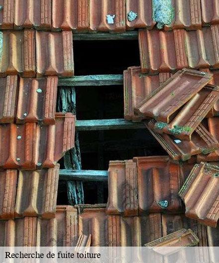Recherche de fuite toiture  jussecourt-minecourt-51340  Artisan Klatt père et fils