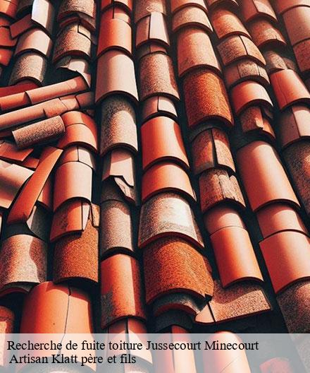 Recherche de fuite toiture  jussecourt-minecourt-51340  Artisan Klatt père et fils