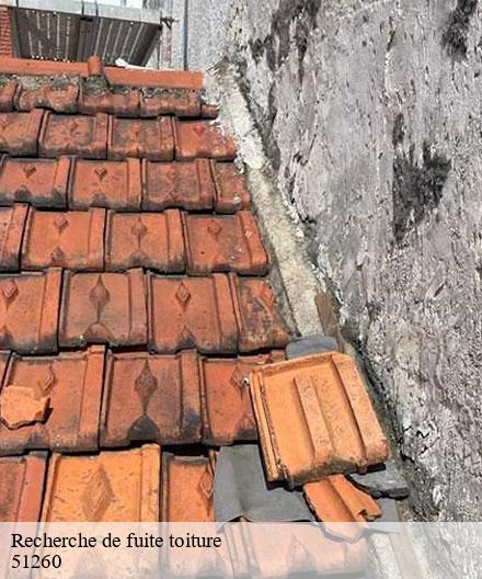 Recherche de fuite toiture  marsangis-51260  Artisan Klatt père et fils