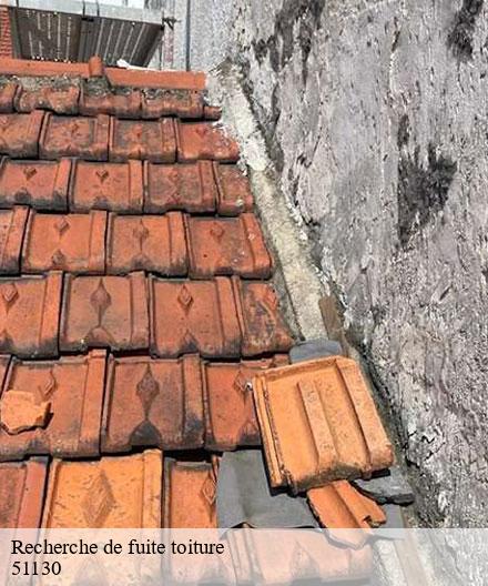 Recherche de fuite toiture  vert-toulon-51130  Artisan Klatt père et fils