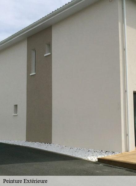 Peinture Extérieure  la-neuville-au-pont-51800  Artisan Klatt père et fils